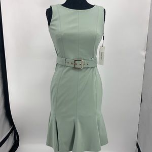 Calvin Klein Sage dress size 4